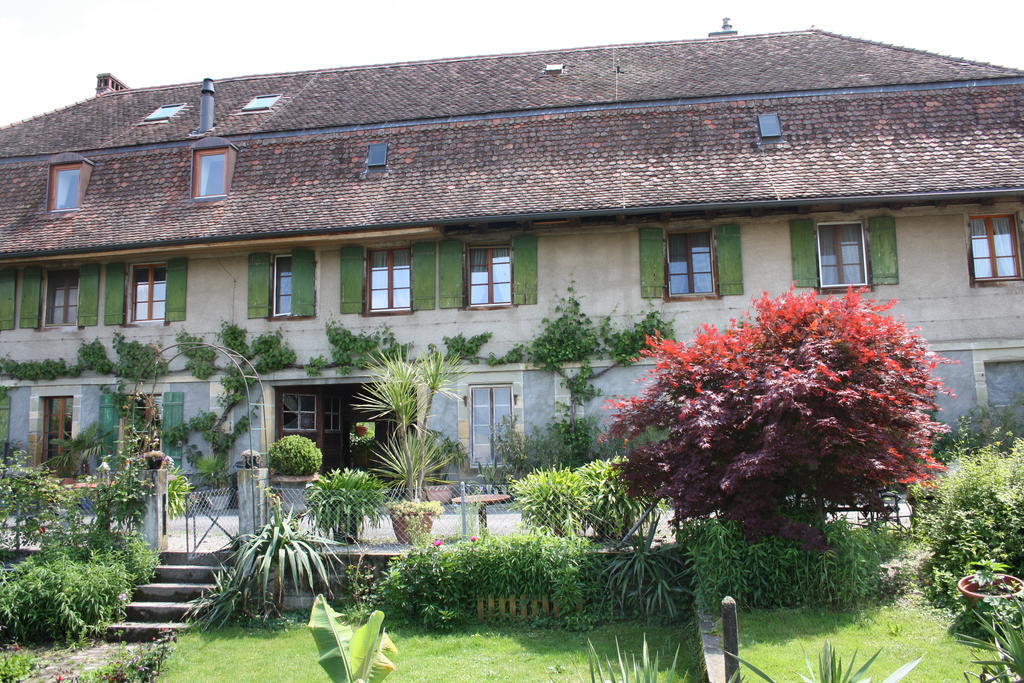 Ofenhaus Villa Murten Rom bilde